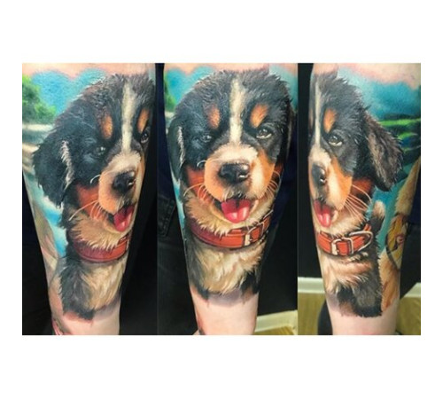 Краска World Famous Tattoo Ink Ilya Fom's Animal Kingdom Set (16 пигментов)