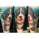 Краска World Famous Tattoo Ink Ilya Fom's Animal Kingdom Set (16 пигментов)