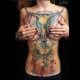 Краска World Famous Tattoo Ink Jay Freestyle Watercolor Ink Set (12 пигментов)