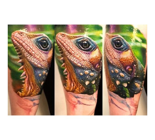 Краска World Famous Tattoo Ink Ilya Fom's Animal Kingdom Set (16 пигментов)
