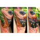 Краска World Famous Tattoo Ink Ilya Fom's Animal Kingdom Set (16 пигментов)