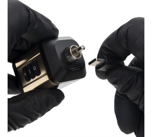 Ambition Korall Mini RCA - Gold