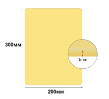 Искусственная кожа для практики тату 200x300 мм TA-446